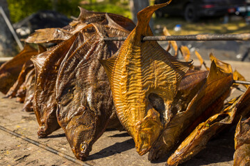 Fish processing plant. Freshly smoked fish. Smoked flounder,