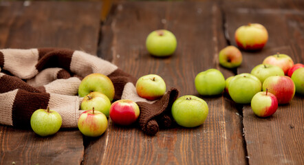 Apples on a table in a garden