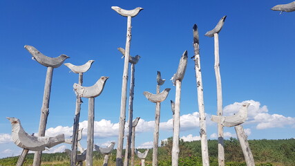 wooden bird statues by the blue sky in summer