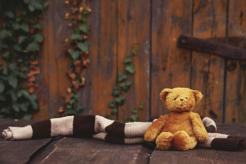 Little teddy bear toy on wooden table