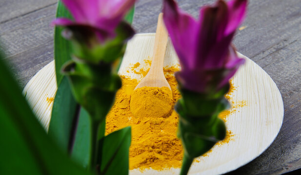 View beyond purple curcuma plant flower on spoon with curcuma seasoning powder