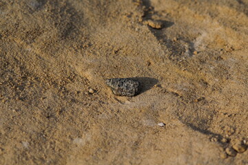 striped stone on the sand