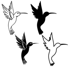 Vector illustration, drawing of a hummingbird, template, black tattoo image, isolate on a white background