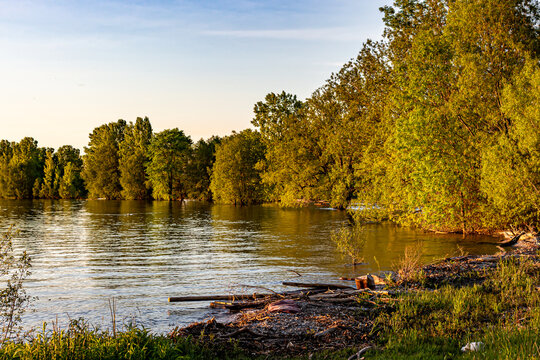 Colour landscape photograph of the shoreline at Lemoine Point conservation area in Kingston, Ontario Canada during a bright sunny day in the summer.