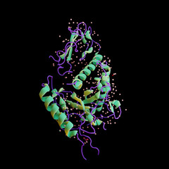 Crystal structure of the human calcitonin receptor with a truncated salmon calcitonin analogue (3d rendering)
PDB from http://doi.org/10.2210/pdb5II0/pdb