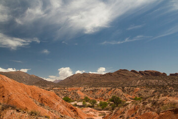 Geology. Arid desert landscape. Panorama view of the red and orange sandstone, rocks and hills under a blue sky. 