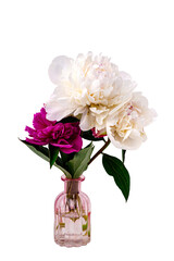 Purple and white peony bouquet isolated on white