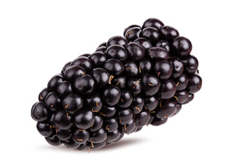 Blackberry isolated on white background with clipping path