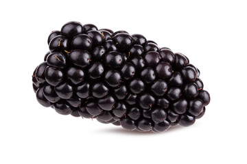 Blackberry isolated on white background with clipping path