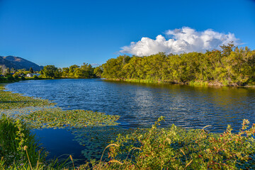 lake and forest