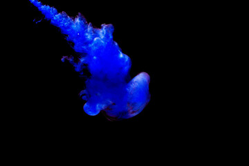 A cloud of blue paint released into clear water. Isolate on a black background.