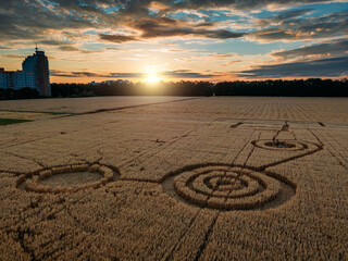 Mysterious crop circle in oat field near the city at the evening sunset