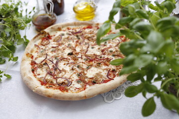 Pizza with tuna, onion, capers, and mozzarella cheese. Italian cuisine.
Traditional Italian pizza. Suggestion to serve a dish. Food background.