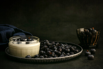 Blueberry cottage cheese in a bowl