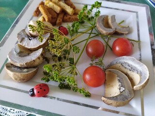 Fresh edible mushrooms red tomatoes sprigs of dill   rasks on the white plate