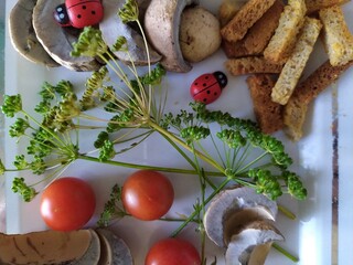 Fresh edible mushrooms red tomatoes sprigs of dill   rasks on the white plate