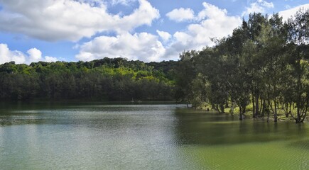 Fototapeta na wymiar Beautiful lake landscape. Benkoko lake in Timor Indonesia 