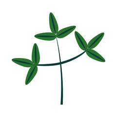 tropical leaf flat style icon vector design