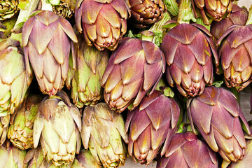 Many purple artichokes as texture