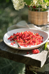 Red currants on a white plate on a wooden Board in the garden in the sun. Lunch in the nature. Concept of eating in nature.