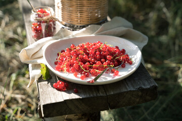 Red currants on a white plate on a wooden Board in the garden in the sun. Lunch in the nature. Concept of eating in nature.