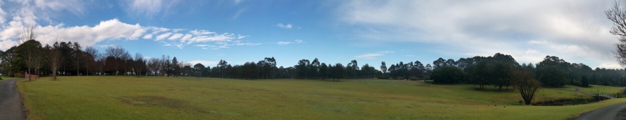 Fototapeta premium Morning panoramic view of a beautiful park with green grass, tall trees and blue puffy sky, Fagan park, Galston, Sydney, New South Wales, Australia