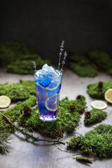 Blue lemonade with lavender, lemon and ice. A tall glass stands on a table with moss. Refreshing drink.