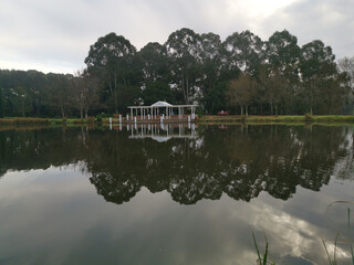 Obraz premium Beautiful morning view of a still pond in a park with stunning reflections of blue puffy sky and tall trees, Fagan park, Galston, Sydney, New South Wales, Australia