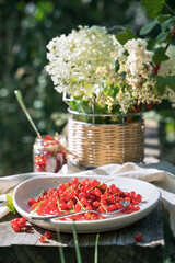 Still life with red currant on a background of white flowers on a wooden Board with a linen napkin in the garden. Lunch in the nature. Concept of eating in nature.
