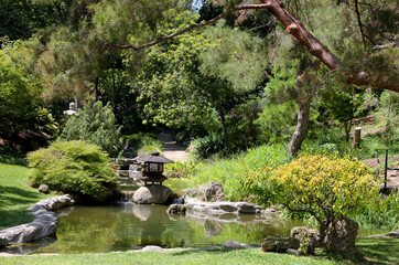 Fototapeta na wymiar japanese garden 