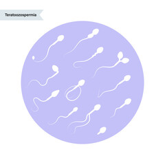 Reproductive system concept