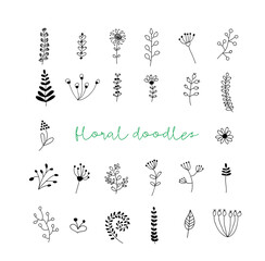 botanical doodles collection