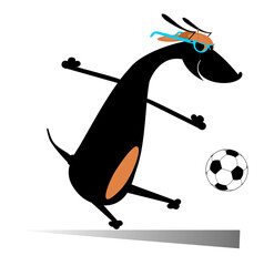 Dog playing football isolated illustration. Cartoon dachshund beats a football 