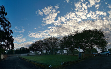 Beautiful morning foggy view of a park with green grass, tall trees and blue foggyy sky, the Porter Scenic Lookout, Galston, Sydney, New South Wales, Australia