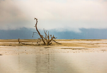 Borneo, Tman Bako, National park