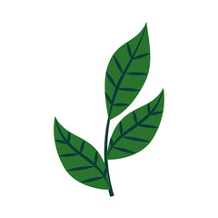 tropical leaf flat style icon vector design