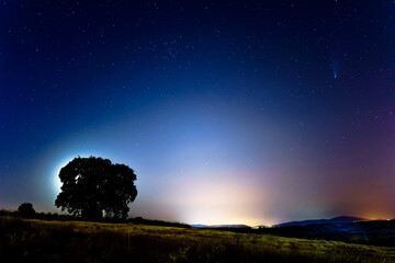 neowise comet in dark blue night sky with stars tree and light hallow