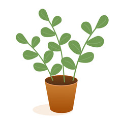 Сolorful silhouette of plant in flower pot without contour. Plant and ecology design for greeting card, menu, banner, sticker, advertisement, poster. Flat vector illustration: homemade flower in a pot