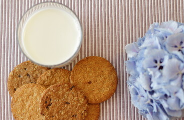 Oat cookies with glass of milk for breakfast on table cloth and blue flower on background, rustic healthy food 