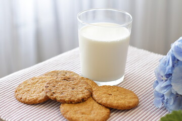 Oat cookies with glass of milk for breakfast on table cloth and blue flower on background, rustic healthy food 