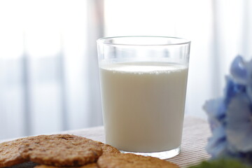 Oat cookies with glass of milk for breakfast on table cloth and blue flower on background, rustic healthy food 