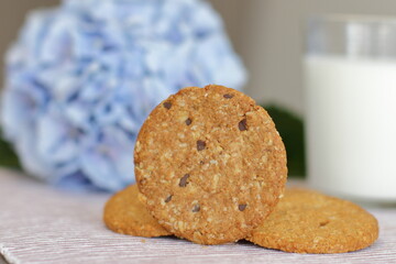 Oat cookies with glass of milk for breakfast on table cloth and blue flower on background, rustic healthy food 