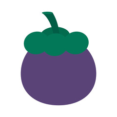 mangosteen fruit icon, flat style