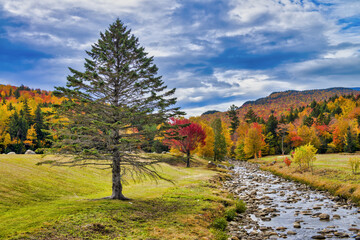 Beautiful creek of New England with tree and foliage background