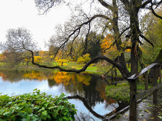 Beautiful autumn landscape in a park with a lake on a cloudy rainy day.