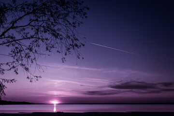 view of the violet sunset through the branches of the will on a bright sunset over the lake © Hanna