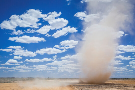 mini tornado whirlwind near the Outback Australian desert town of Marree, sandstorm, fluffy clouds and blue sky with copy space, South Australia