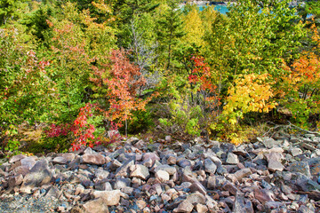 Beautiful forest of New England in foliage season, USA
