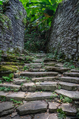 Pathway in the middle of abandoned jungle village in China