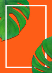 Monstera leaves on an orange background, white frame, tropical plant. Template ready, vertical postcard, copy space, flat lay.